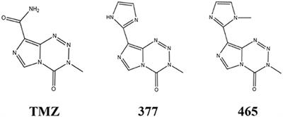 C8-Substituted Imidazotetrazine Analogs Overcome Temozolomide Resistance by Inducing DNA Adducts and DNA Damage